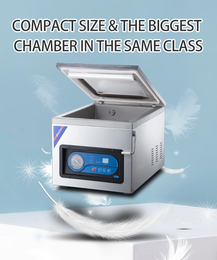 Single Chamber Food Vacuum Packing Machine (DZ-280)