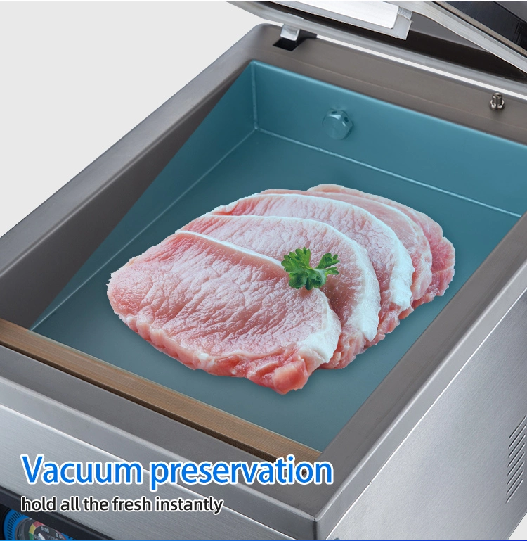 Single Chamber Food Vacuum Packing Machine (DZ-280)