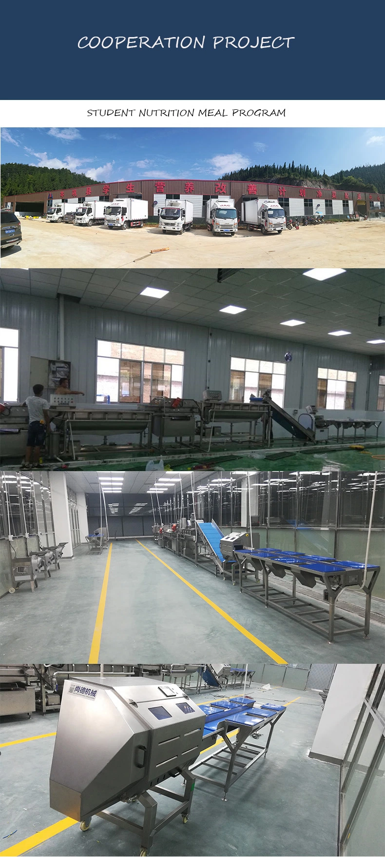 Vegetable Fruit Snack Flow Wrapping Pillow Sandwich Hamburger Packing Machine Bag Wrapper Sealing Packaging Machinery