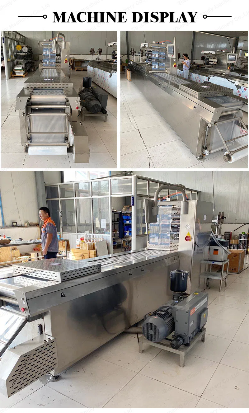 Thermoformer Stretch Film Food Vacuum Packing Packaging Machine