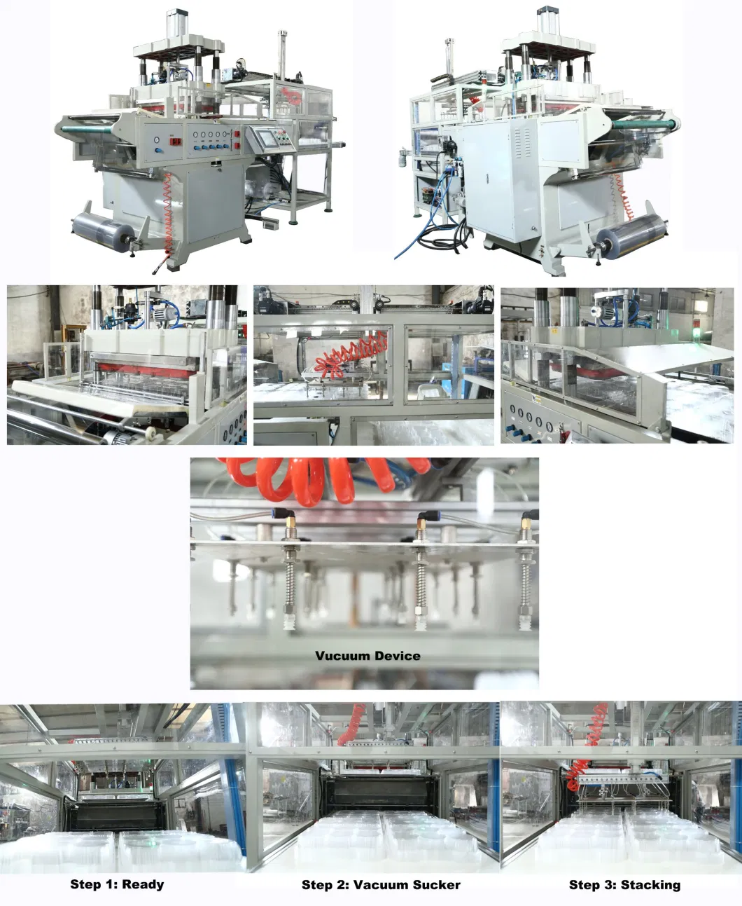 Automatic Plastic Thermofroming Machine Disposable Cup Making Machine Cake Tray and Food Container Take Aways Fox Box Plastic Sheet Thermoform/Making/Forming/