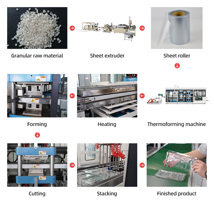 Fully Automatic Thermocol Take Away Lunch Packing Boxes Making Machine Plant