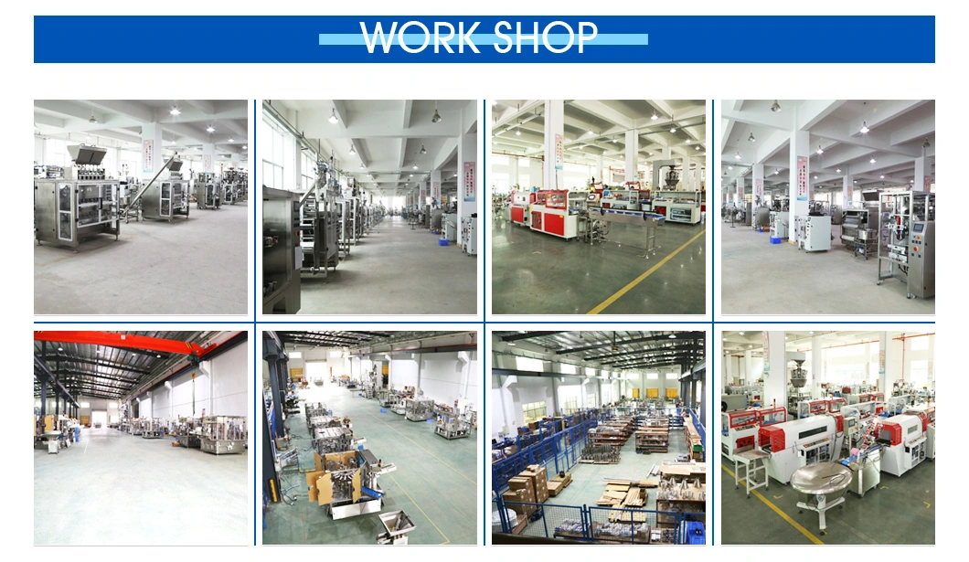 Big Vertical Form Filling and Sealing Automatic Powder/Bread/Meat/Candy Packaging/Packing/Package Machine (PM-720)