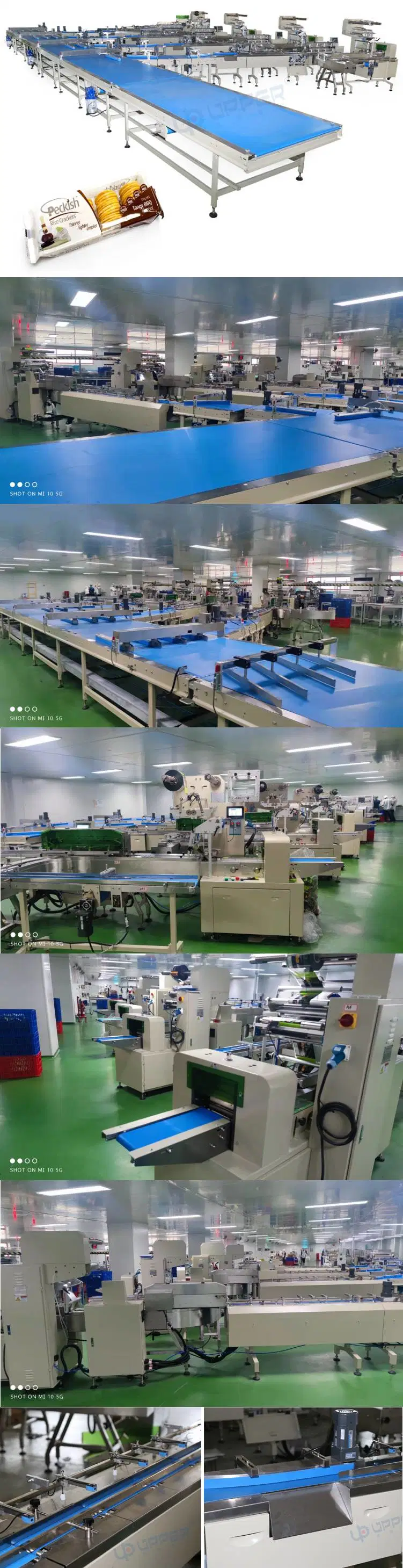 Frozen Seafood Product Packaging Line Squid Fish Ball Turtle Cling Film Stretch Film Vacuum Flow Feeding Packaging Machine