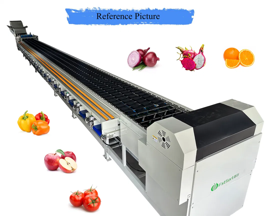 Onion Sorting Machine Efficient Citrus Fruit Handling and Packaging Fruit Post-Harvest Processing Technology