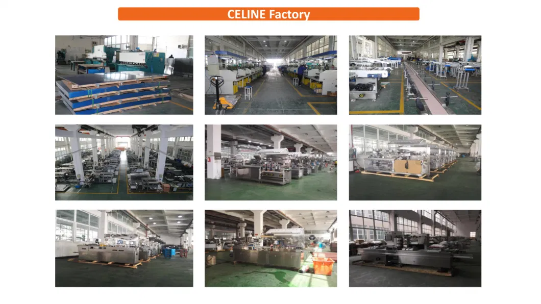 Food Industry Instant Noodle Pizza Coffee Tea Chocolate Carton Box POF Film Heat Shrink Wrapping Packaging Machine