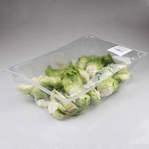 Top Freshness Chicken Meat Auto Vacuum Packing Packaging Machine