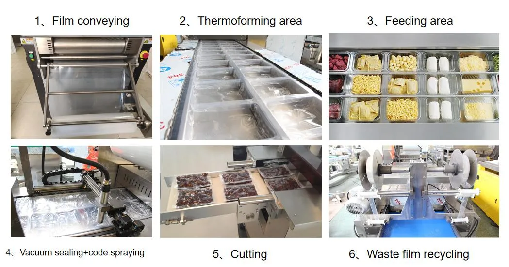 304 Stainless Steel Automatic Thermoforming Vacuum Packaging Machine for Meat Food Sausage