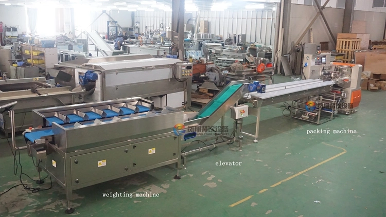 Vegetable Fruit Orange Lettuce Carrot Cucumber Weighting Flow Wrapping Shrink Packing Machine