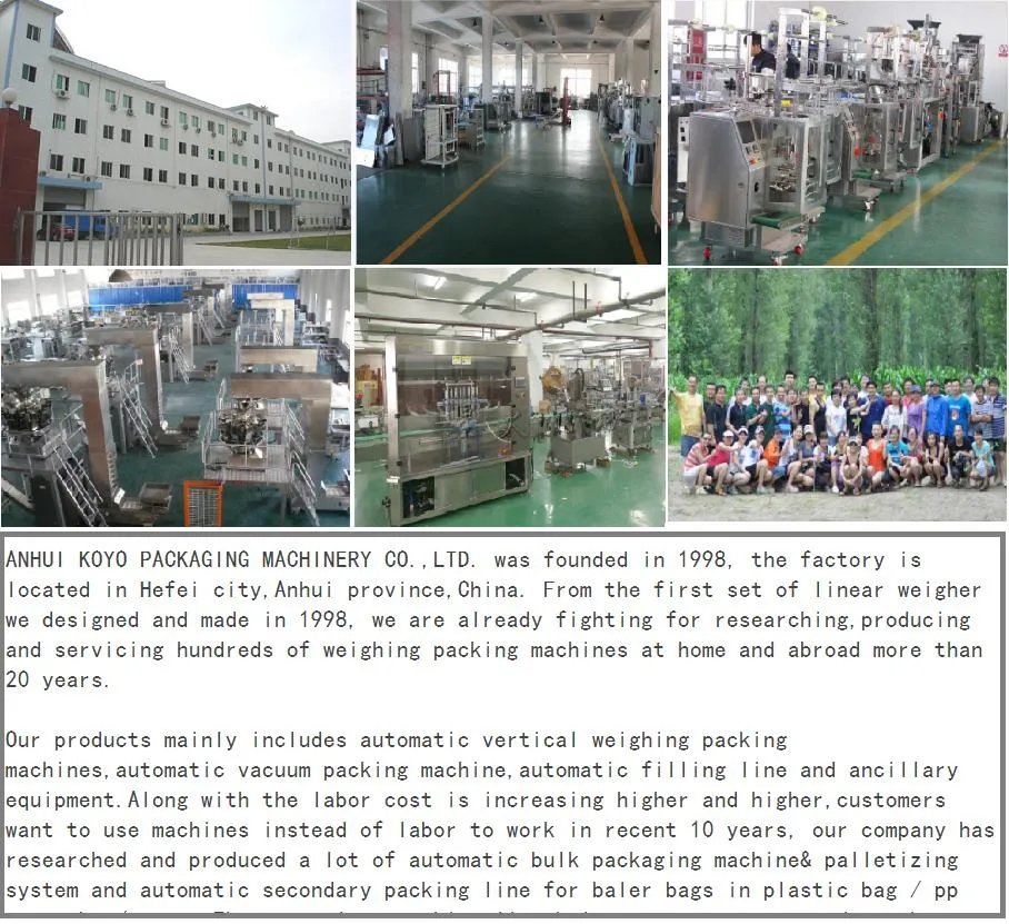 Automatic Fried Food Pouch Continuous Bagging Machine Bag Packaging Packing Machine