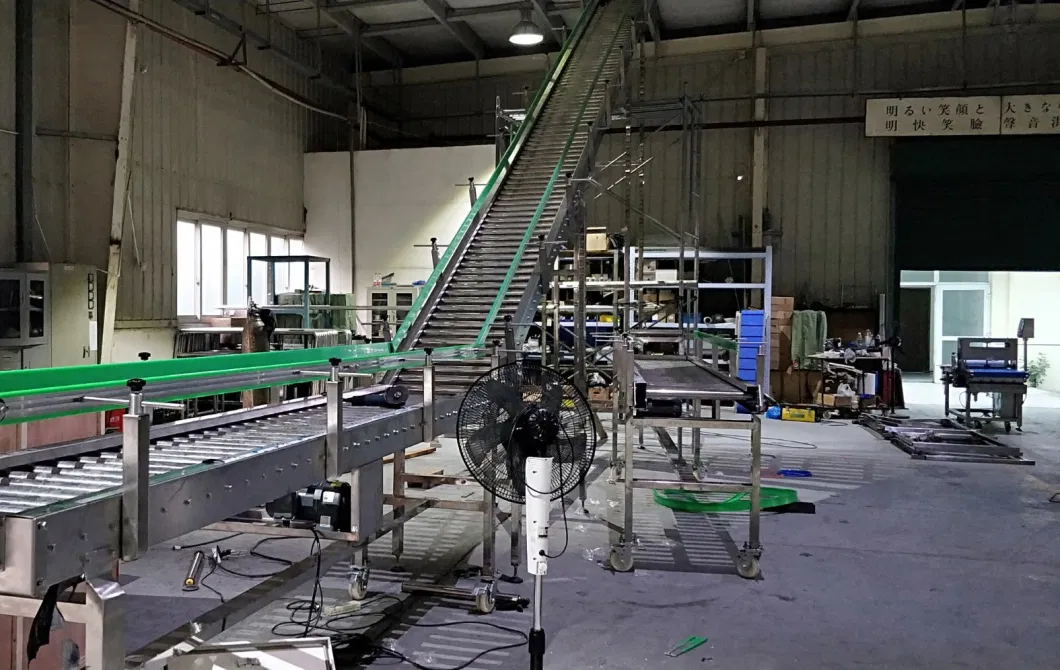 Noodles Packaging Machine Italy Instant Noodle Packing Machine Plastic Packaging Machine