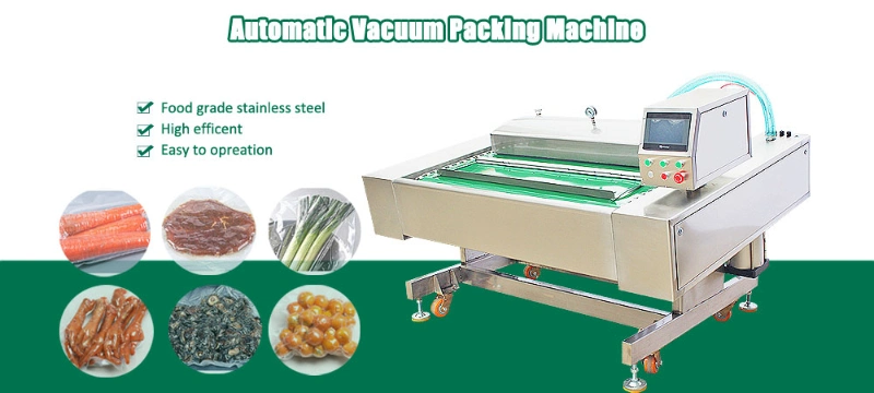 Strong Suction Carrots Fresh Noodle Mushroom Garlic Vacuum Packing Machine Wy-1000s