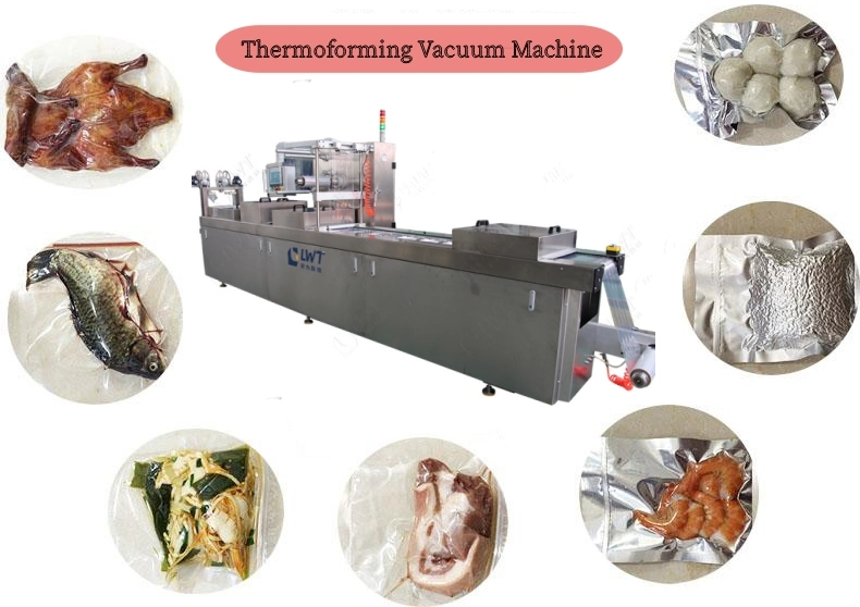 Lwt Custom Automatic Thermoform Vacuum Packaging Machine for Food Packing Caviar Cheese