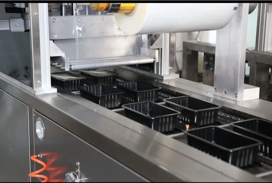 Automatic Continuous Modified Atmosphere Packaging Tray Sealing Machine for Healthy Caesar Salad