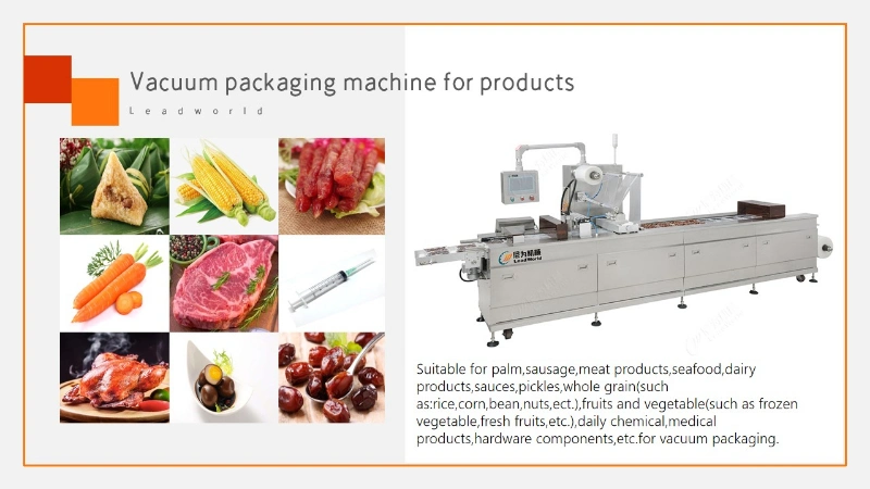 China Factory Automatic Meat Sea Food Fish Shrimp Thermoforming Vacuum Skin Packaging Machine
