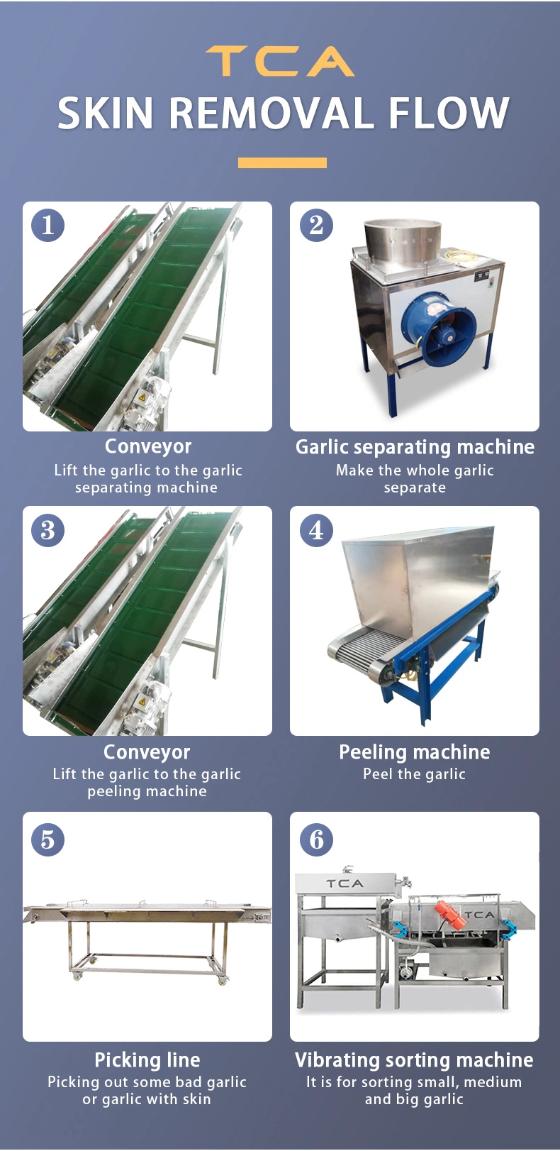 TCA Automatic Garlic Skin Dry Peeling Pack Machinery Peeling Machine Plant Air for Business