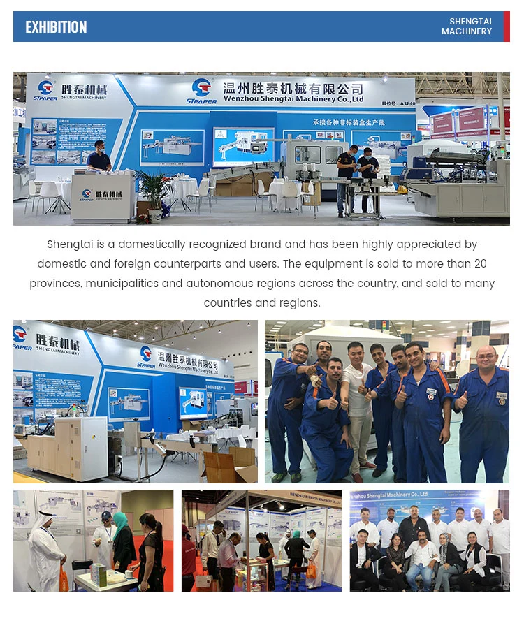 Automatic Food Packing Machine Product Cartoning Machine