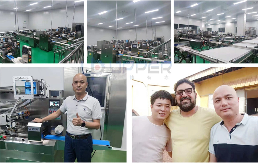 Chocolate Bar Cereal Sweet Candy Biscuit Bread Crackers Sausage Flexible Automatic Feeding and Packaging Line Bag Flow Wrapping Sealing Pouch Packing Machine