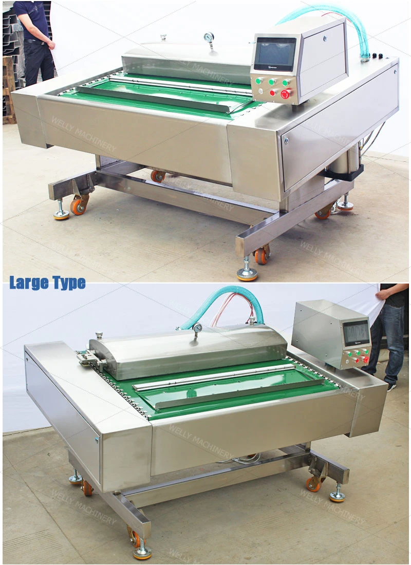 High Speed Food Meat Dry Fish Garlic Nuts Vacuum Packing Machine for Restaurant Use