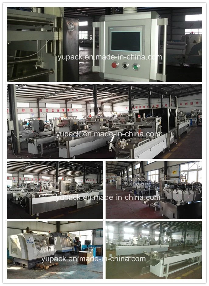 Dzl-520/320/420 Horizontal Thermoform Fill-Seal Packaging &Thermoforming Machines&Thermoformer Packaging Machines