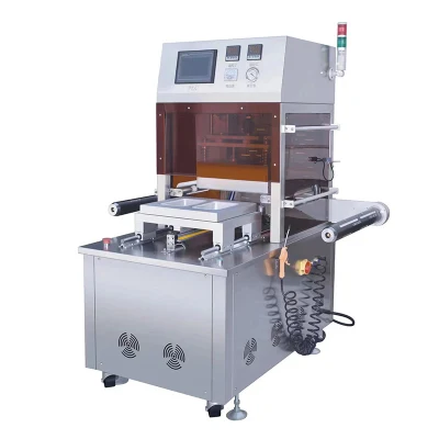 Aire acondicionado Caja de vacío máquina de envasado Fresh-Keeping lactona Tofu maquinaria de la máquina de envasado al vacío