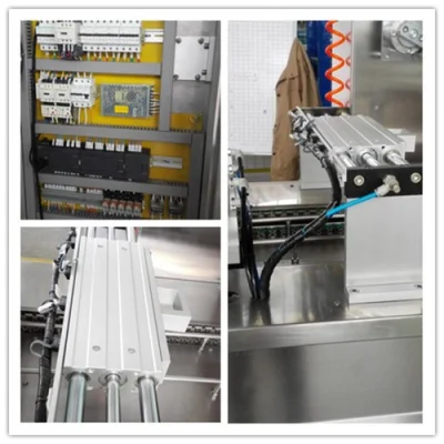 Auto Sause Queso fechas máquina de embalaje carne pescado Termoformado vacío Máquina de embalaje