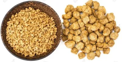 Línea de producción de proteínas en trozos de soja