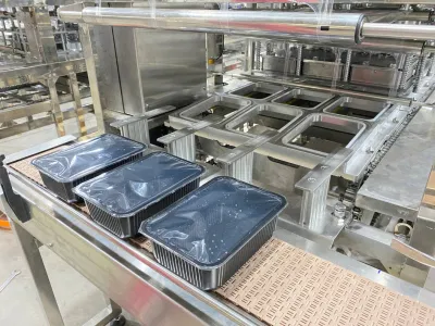 Sazonar los alimentos verificación lineal de las máquinas de sellado en caliente de comer arroz de la bandeja de pollo de la máquina de embalaje
