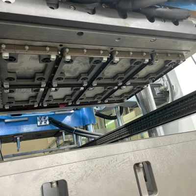 Máquina termoformadora de plástico totalmente automática para producción de embalaje de frutas para mascotas Caja de carne Punnet