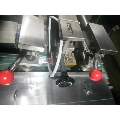 Las verduras de la máquina de envoltura de pan almohada Máquina de embalaje (AH-420)