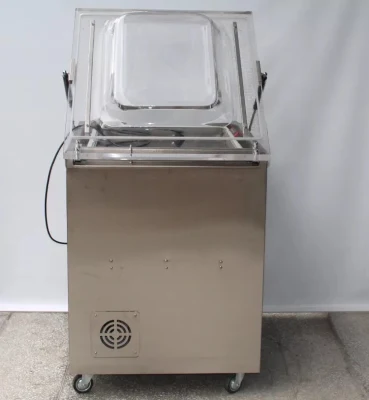 Cámara única máquina de envasado selladora de vacío para las frutas, verduras, alimentos, té, arroz, carne