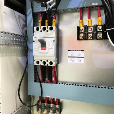 Máquina termoformadora de plástico totalmente automática para producción de embalaje de frutas para mascotas Caja de carne Punnet