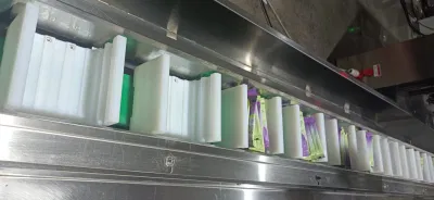 Mwellpack llenado Pack sellado Envoltura vertical o almohada máquina de embalaje de alimentos / snacks, pescado pequeño secado, trozos de carne de pescado máquina de Cartoning