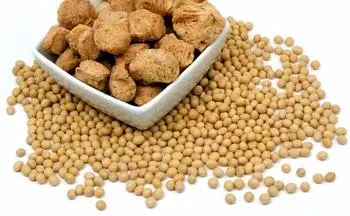 Línea de producción de proteínas en trozos de soja