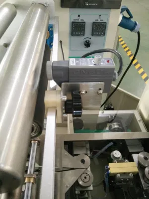 La película flexible termoformado carne compacta Máquina de embalaje automático de queso de máquina de envasado al vacío para la alimentación