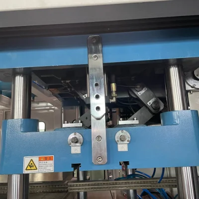 Máquina termoformadora de plástico totalmente automática para producción de embalaje de frutas para mascotas Caja de carne Punnet