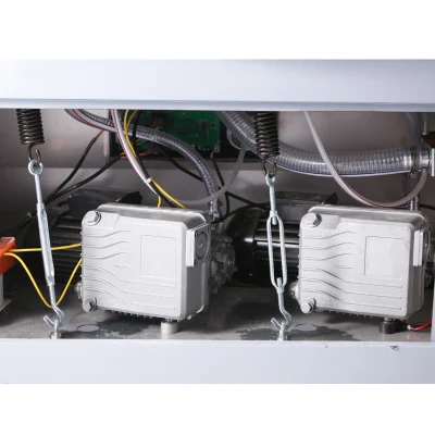 Dingli Dzb-600-2s comerciales industriales Carne seca de la máquina de envasado al vacío