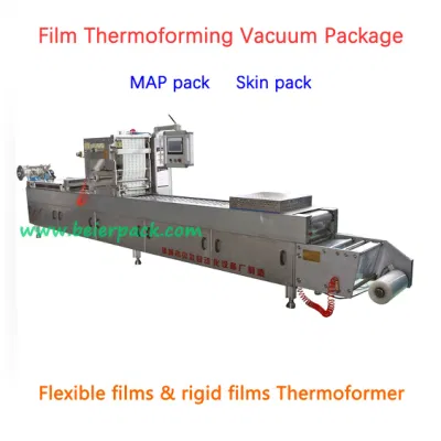 Vacío de termoformado máquina de envasado en atmósfera modificada