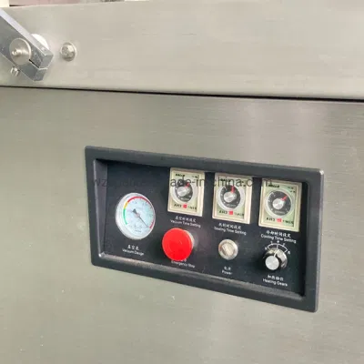 Vacío de peces de los selladores de alimentos máquina de envasado al vacío de verduras arroz carne de cerdo salchicha de doble cámara de la máquina de embalaje vacío