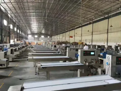Automático de alta calidad de las Tortillas de tofu máquina de envasado de flujo horizontal