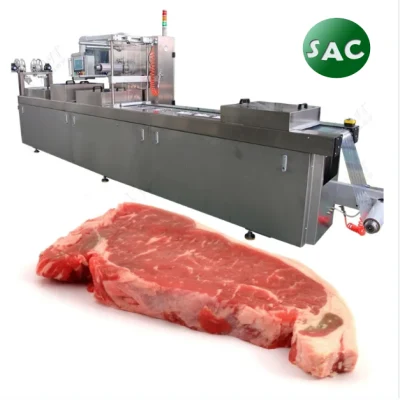 Platos preparados Embalaje rápido de alimentos / Autofu Termoforming Vacuum Máquina de sellado