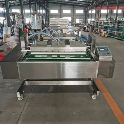 Máquina de envasado al vacío continuo de la máquina de envasado al vacío de la fruta seca del bocadillo Ventas directas de fabricantes de máquinas