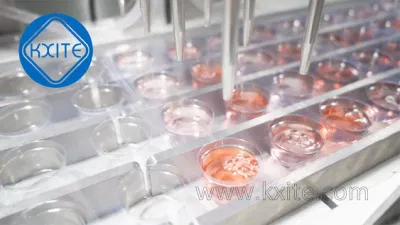 Cuchara automática máquina de envasado de miel La miel de llenado de la Copa de la bandeja de productos de plástico de la máquina de sellado Blister termoformado máquina de envasado el envasado de alimentos