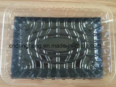 Tapa de la termoformadora Donghang