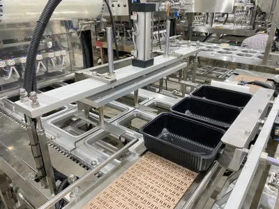 Sazonar los alimentos verificación lineal de las máquinas de sellado en caliente de comer arroz de la bandeja de pollo de la máquina de embalaje
