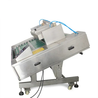 Máquina de envasado al vacío continuo de la máquina de envasado al vacío de la fruta seca del bocadillo Ventas directas de fabricantes de máquinas