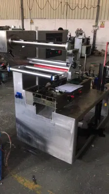 Bolsa automática máquina de envasado de alimentos de GS-450/medicina/Diario Appliances/Cosmética/Metales/cajas/piezas industriales/Bandejas/Máquina de embalaje Juguetes