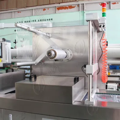 Maquinaria de línea de envasado al vacío atmósfera modificada máquina de envasado termoformadora de azafrán