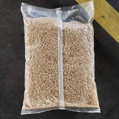 Kyv730bdry comida seca Papa Frutas Vegetal vacío Embolsado sellado de empaque Bolsa de plástico para almohada de máquina de embalaje