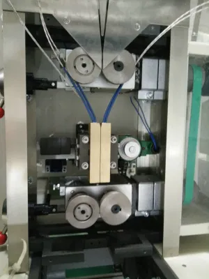 La película flexible termoformado carne compacta Máquina de embalaje automático de queso de máquina de envasado al vacío para la alimentación